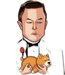 Tesla Inu