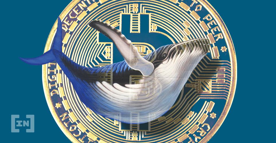 Les baleines BTC ont réalisé des profits lors du rallye Bitcoin d’août à novembre: rapport OKEx