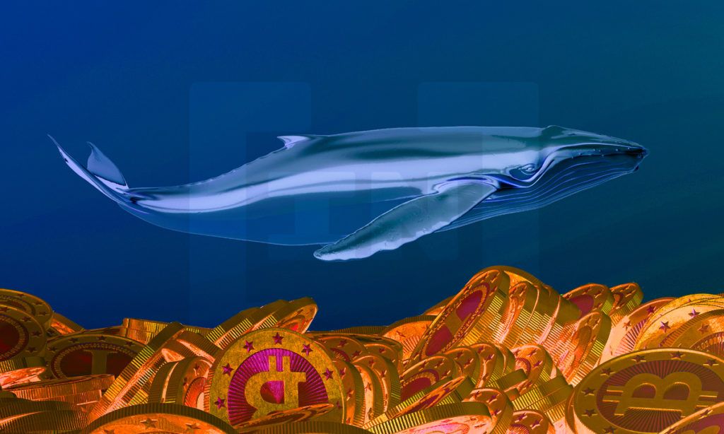 Bitcoin : les baleines provoquent le plus gros pic d&#8217;accumulation quotidien avec des achats de 60 000 BTC
