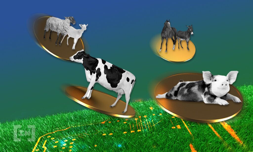 La tokenisation du bétail est une preuve l’utilisation de la blockchain dans le monde réel