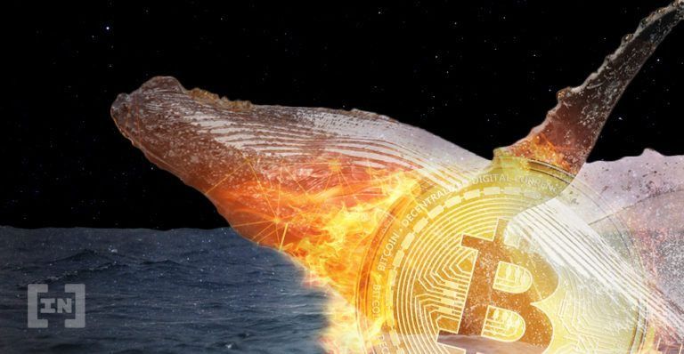 Baleine Bitcoin