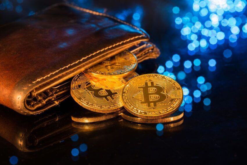 Bitcoin : 1 milliard de wallets seraient nécessaires pour faire de l’actif une protection contre l’inflation