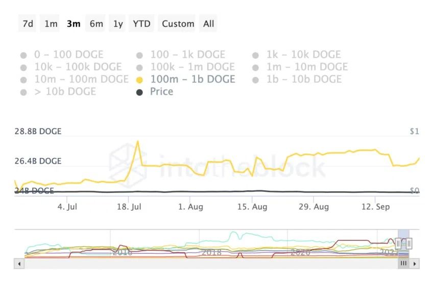 Doge cours