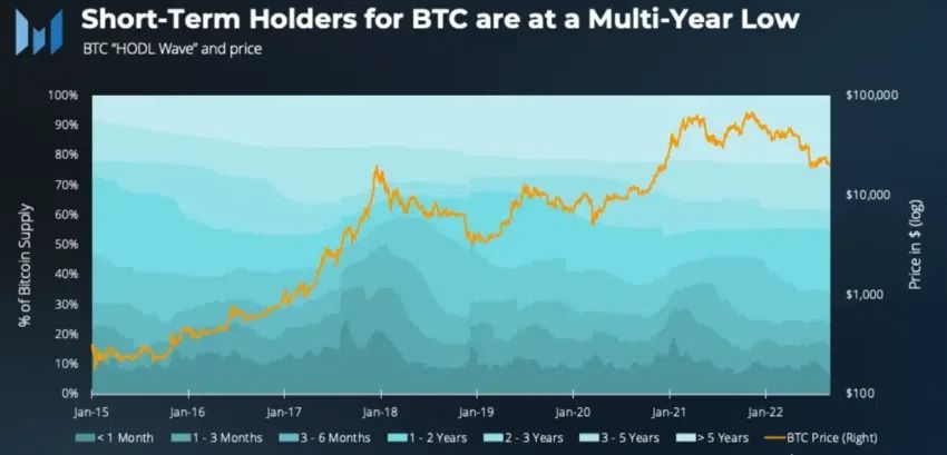 BTC holders