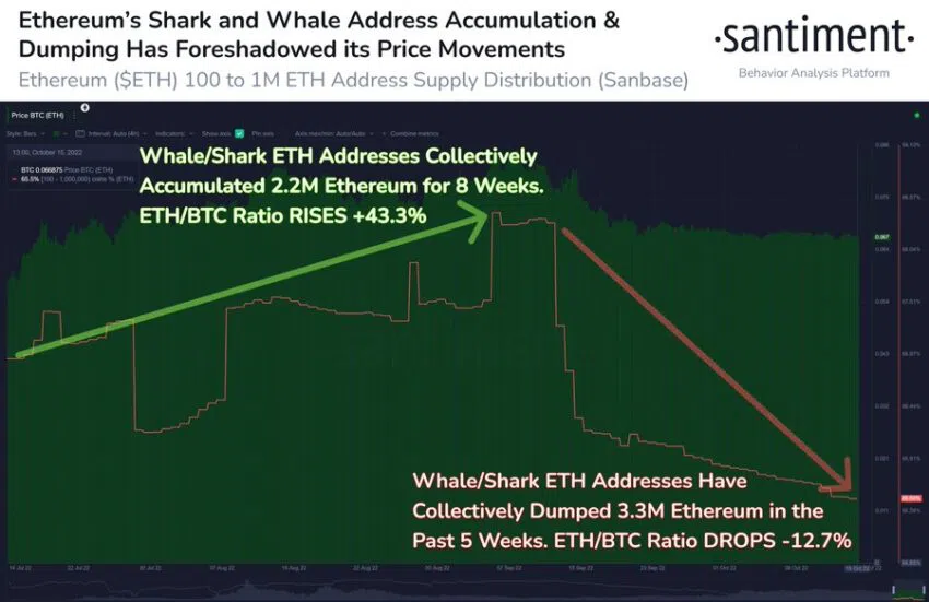 baleines ethereum