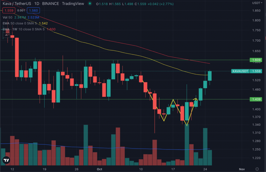 kava crypto