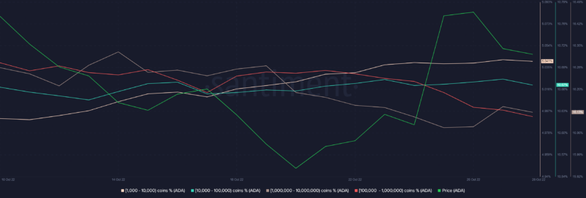 cardano crypto