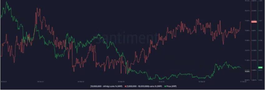 baleiens xrp