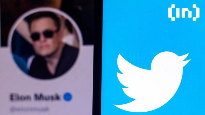 Bots crypto : Elon Musk chasse les scammers de Twitter
