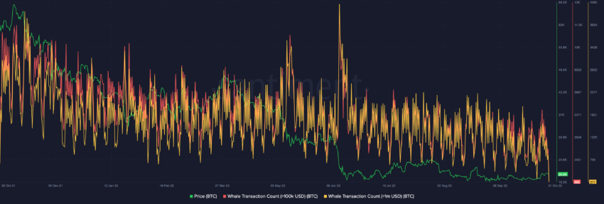 baleines bitcoin