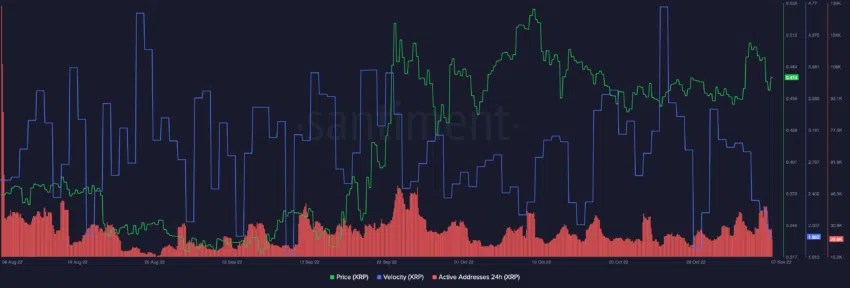 XRP ripple