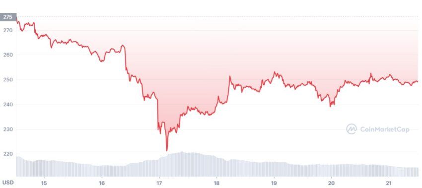 BNB cours
