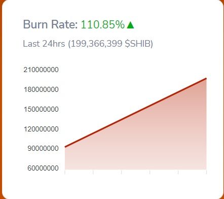 burn shib