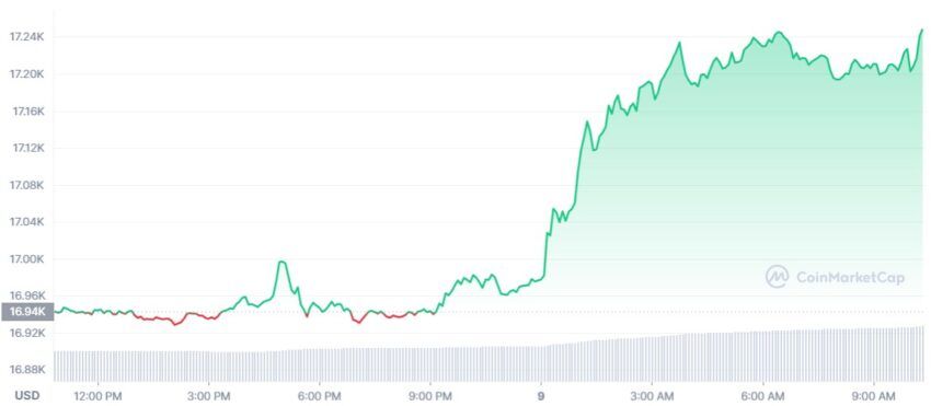 bitcoin cours bear market