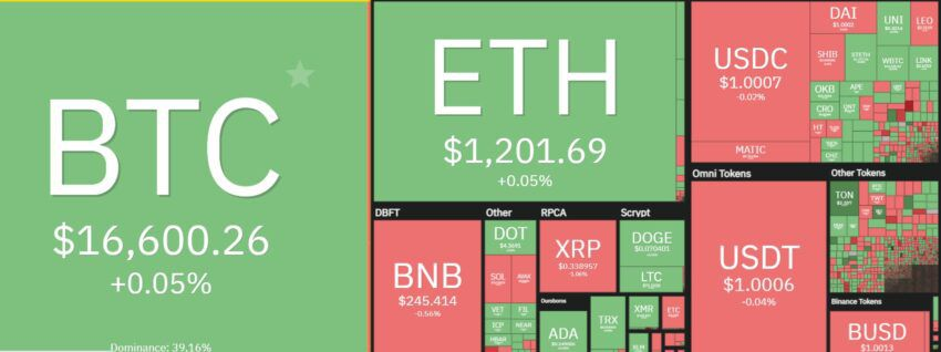 crypto-monnaie