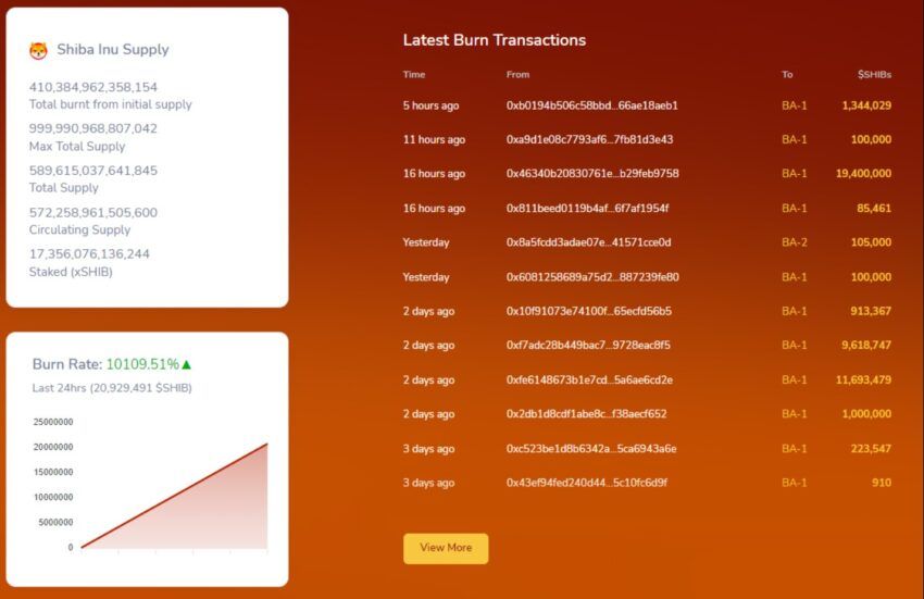 burn shiba inu