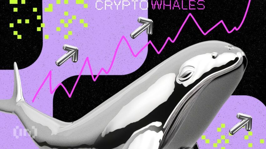 Voici les altcoins favoris des baleines crypto pour mai