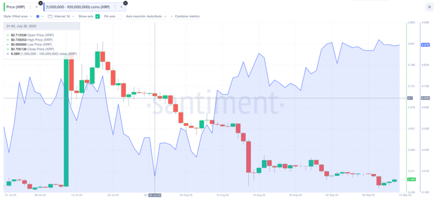 XRP ripple